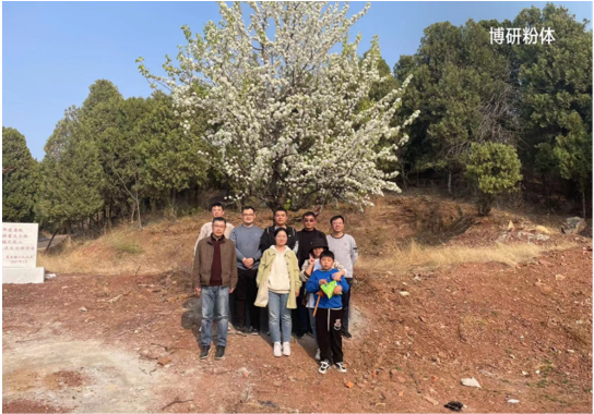 步履不停，共赴春光